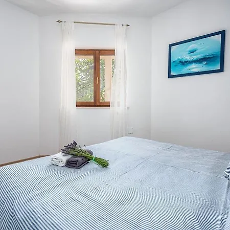 Apartment Drenje